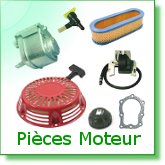 Pièces Moteurs et Assimilés - Motoculture