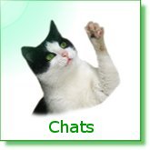 Chats