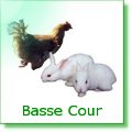 Basse cour