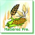 Matière première