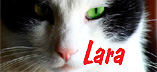 Logo Lara