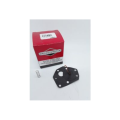 membrane-bs-299637-1